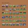 Seni Cup 2014
